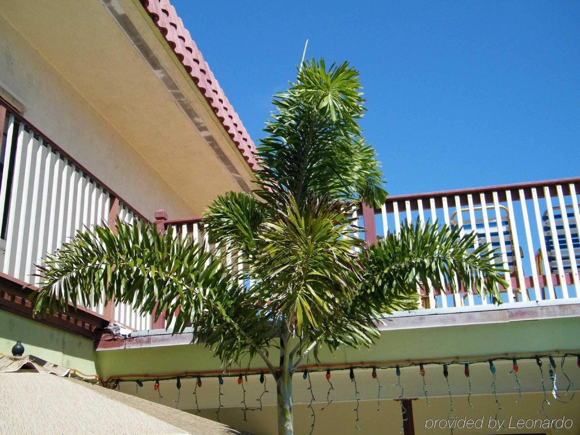 Tropicaire Resort Lauderdale-by-the-Sea Extérieur photo